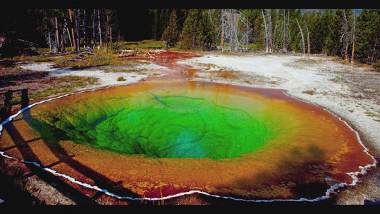 Morning Glory Pool Yellowstone National Park 4K Computer Screensaver